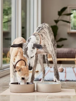 Oyoy Living Design Alfombrilla para comedero de mascotas Koko^ Accesorios Para Animales|Jarrones