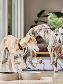 Oyoy Living Design Alfombrilla para comedero de mascotas Koko^ Accesorios Para Animales|Jarrones