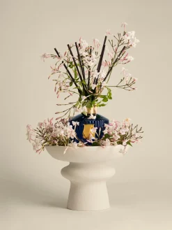 Trudon Ambientador artesanal Maduraï (jazmín puro árabe)^ Ambientadores|Jarrones