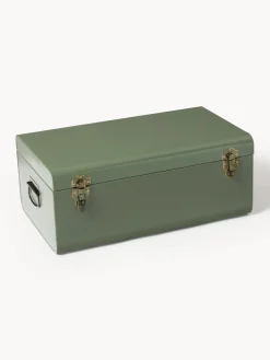 Westwing Collection Cajas de almacenamiento de metal Jonny, 2 uds.