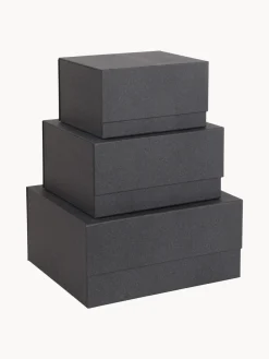 Bigso Box of Sweden Cajas Ilse, 3 uds.