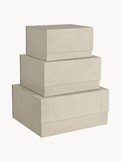 Bigso Box of Sweden Cajas Ilse, 3 uds.