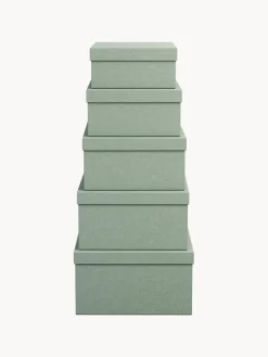 Bigso Box of Sweden Cajas Joel, 5 uds.