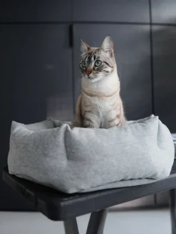 MiaCara Cama para gatos de lana Calma
