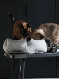 MiaCara Cama para gatos de lana Calma