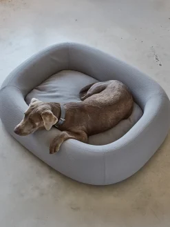 MiaCara Cama para mascotas Barca, tamaños diferentes