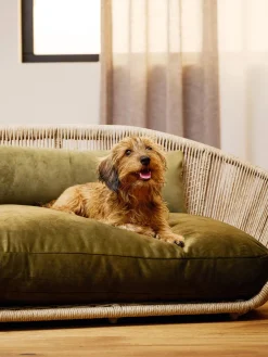 Laboni Cama para mascotas de interior/exterior Vogue^ Accesorios Para Animales|Jarrones