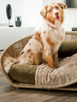 Laboni Cama para mascotas de interior/exterior Vogue^ Accesorios Para Animales|Jarrones