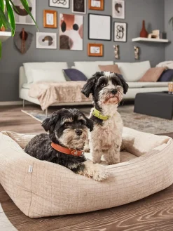 Laboni Cama para mascotas de pana Nova, tamaños diferentes