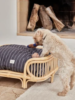 Oyoy Living Design Cama para mascotas de ratán Otto, tamaños diferentes^ Accesorios Para Animales|Jarrones