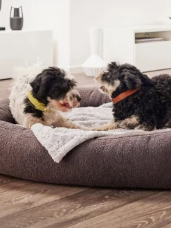 Laboni Cama para mascotas en tejido bouclé Teddy, tamaños diferentes^ Accesorios Para Animales|Jarrones