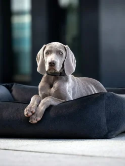 Laboni Cama para mascotas en terciopelo Buffalo, tamaños diferentes^ Accesorios Para Animales|Jarrones