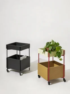 Hübsch Camarera Fresh