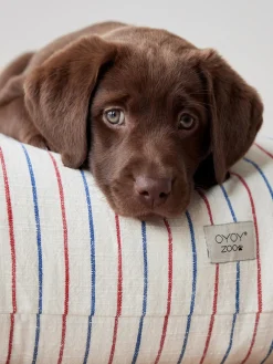 Oyoy Living Design Cojín para mascotas de algodón Kyoto, tamaños diferentes^ Accesorios Para Animales|Jarrones