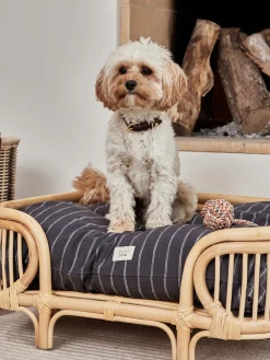 Oyoy Living Design Cojín para mascotas de algodón Kyoto, tamaños diferentes^ Accesorios Para Animales|Jarrones