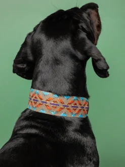 Buddys Dogwear Collar para mascotas artesanal Etna, tamaños diferentes^ Accesorios Para Animales|Jarrones