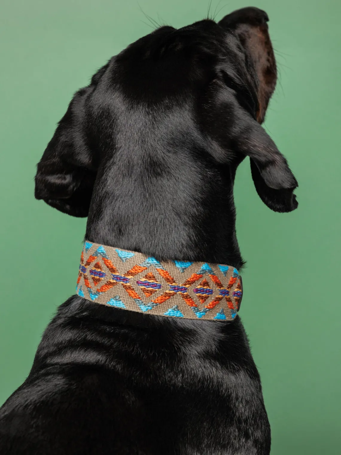 Buddys Dogwear Collar para mascotas artesanal Etna, tamaños diferentes^ Accesorios Para Animales|Jarrones