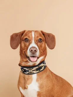 Buddys Dogwear Collar para mascotas artesanal Peyote, tamaños diferentes^ Accesorios Para Animales|Jarrones