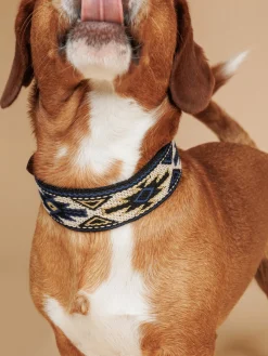 Buddys Dogwear Collar para mascotas artesanal Peyote, tamaños diferentes^ Accesorios Para Animales|Jarrones