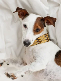 Buddys Dogwear Collar para mascotas artesanal Peruvian, tamaños diferentes