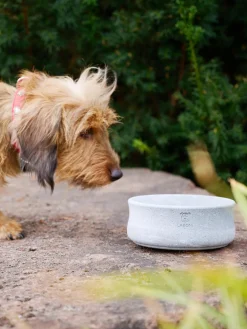 Laboni Comedero para mascotas Rocky, tamaños diferentes