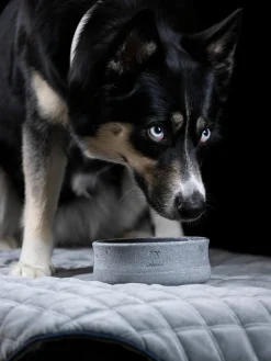 Laboni Comedero para mascotas Rocky, tamaños diferentes