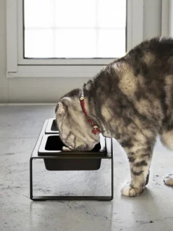 Yamazaki Comedero para mascotas Tower^ Accesorios Para Animales|Jarrones