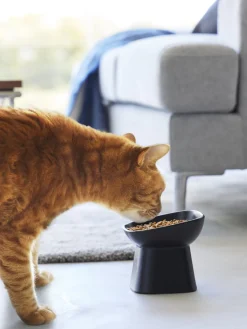 Yamazaki Cuenco de mascotas de cerámica Tower