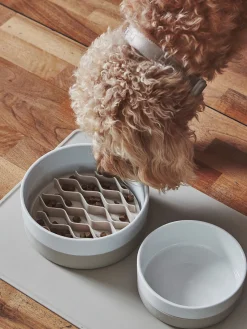 MiaCara Cuenco para mascotas de porcelana Coppa, tamaños diferentes