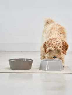 MiaCara Cuencos para mascotas de porcelana Doppio, tamaños diferentes