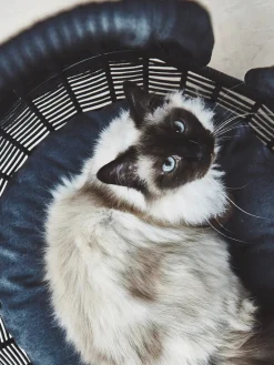 MiaCara Cueva para gatos artesanal Perla