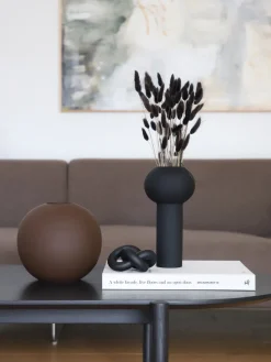 Cooee Design Flores secas Lagurus^ Jarrones|Flores Artificiales