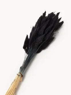 Cooee Design Flores secas Lagurus^ Jarrones|Flores Artificiales