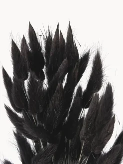 Cooee Design Flores secas Lagurus^ Jarrones|Flores Artificiales