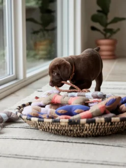 Oyoy Living Design Juguete hueso para perros Ashi, tamaños diferentes^ Accesorios Para Animales|Jarrones