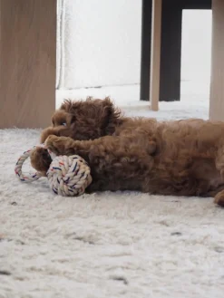 Oyoy Living Design Juguete para perros Otto^ Accesorios Para Animales|Jarrones