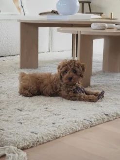 Oyoy Living Design Juguete para perros Otto^ Accesorios Para Animales|Jarrones