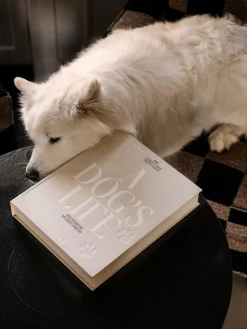 Printworks Álbum de fotos A Dog's Life