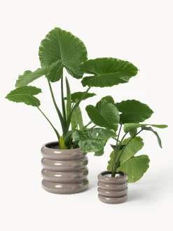 Westwing Collection Maceta de gres pequeña Rudi, 16 cm^ Maceteros|Jarrones