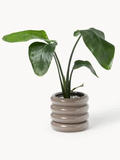 Westwing Collection Maceta de gres pequeña Rudi, 16 cm^ Maceteros|Jarrones