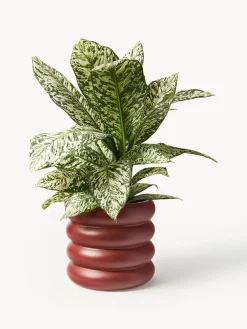 Westwing Collection Macetero de gres Rudi, 30 x 9 cm