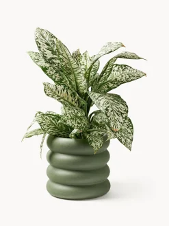 Westwing Collection Macetero de gres Rudi, 30 x 6 cm