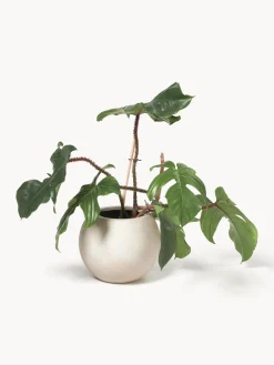 Westwing Collection Macetero de hormigón Tuscany, 25 cm