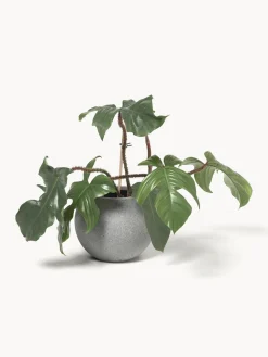 Westwing Collection Macetero de hormigón Tuscany, 25 cm