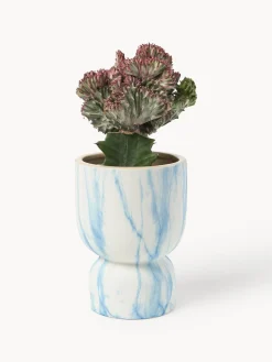 Westwing Collection Macetero en look mármol Kiko, 20 cm