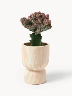 Westwing Collection Macetero en look mármol Kiko, 20 cm