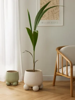 Westwing Collection Macetero grande de dolomita Olea, Al 32 cm^ Maceteros|Jarrones