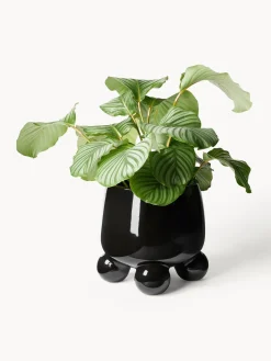 Westwing Collection Macetero grande Olea, Al 32 cm