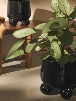 Westwing Collection Macetero grande Olea, Al 32 cm