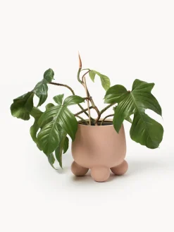 Westwing Collection Macetero Olea, 26 cm